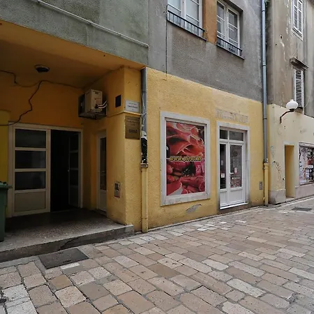 公寓 米娅公寓 扎达尔