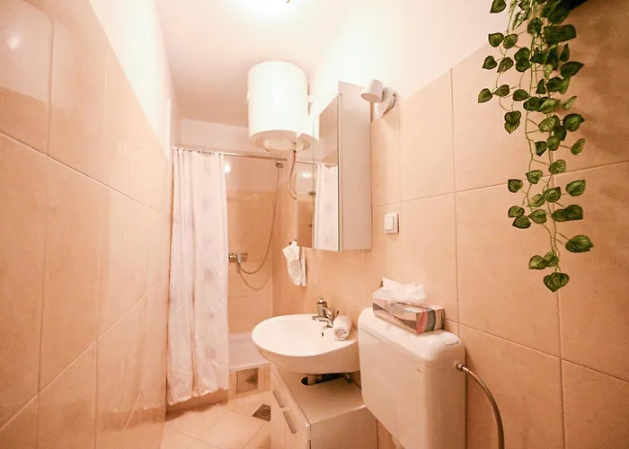 公寓 米娅公寓 扎达尔